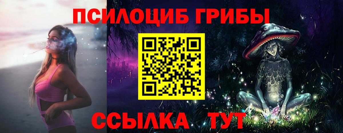 Галлюциногенные грибы MAGIC MUSHROOMS Мичуринск