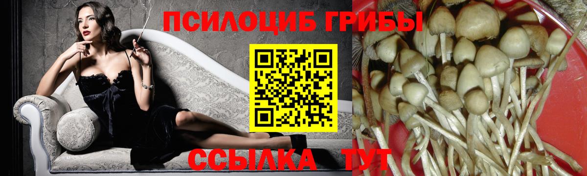 Мичуринск  Галлюциногенные грибы мухоморы  Вход с VPN 