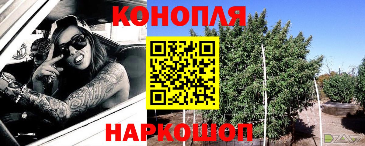 Конопля ГИДРОПОН  Каннабис AK-47  Мичуринск  Канабис White Widow  Вход с VPN 